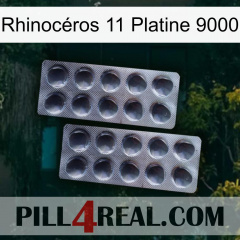 Rhinocéros 11 Platine 9000 31